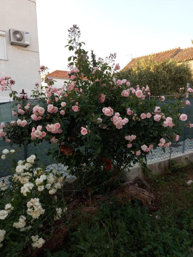 Apartments Jelicic Biograd Na Moru Exterior photo