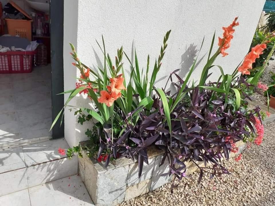 Apartments Jelicic Biograd Na Moru Exterior photo